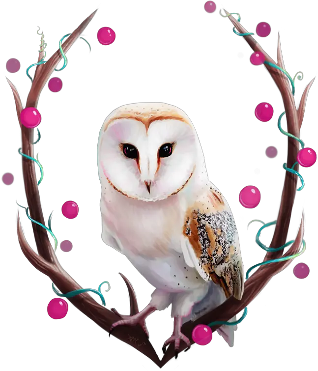  Download Owl By Tanya Bosyk Paper Barn Owl Png Barn Owl Icon