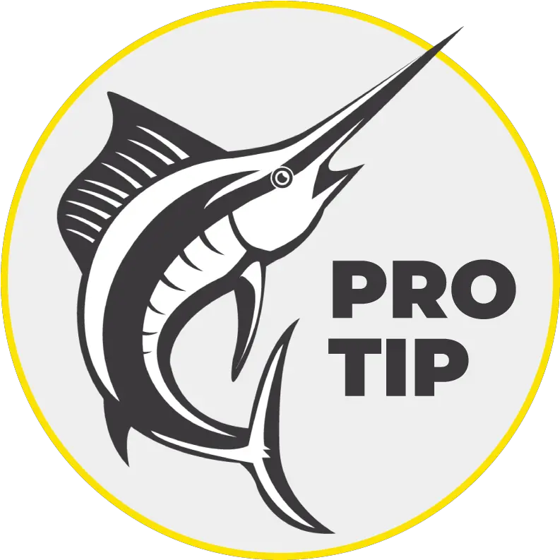  Freshwater Bait Freshwater Fishing Basics Fishmaster Blog Swordfish Png Fishing Pole Icon