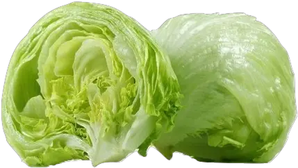  Lettuce Iceberg Transparent Iceberg Lettuce Png Iceberg Png