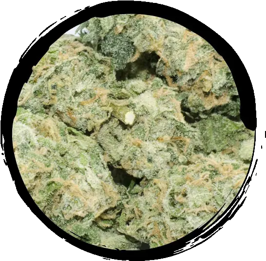  Super Sivlerhazepng Buy Low Green Sour Diesel Haze Png