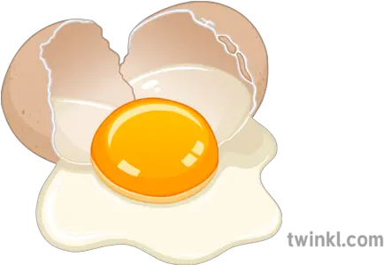  Raw Egg Cracked Illustration Twinkl Clip Art Png Cracked Egg Png