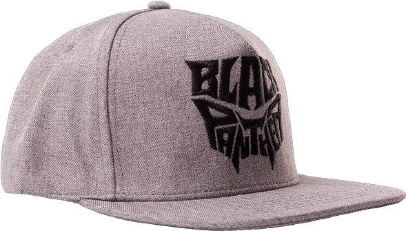  Marvel Black Panther Hat Marvel Png Black Panther Logo