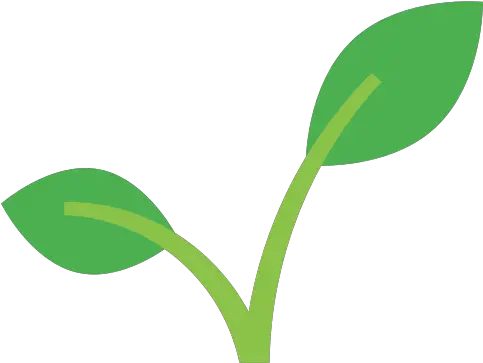  Garden Growth Leaves Plant Seedling Vertical Png Sprout Png