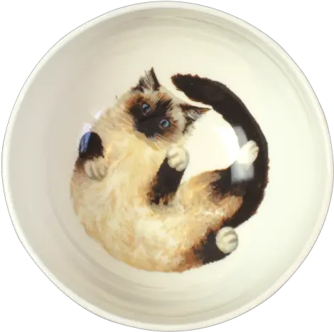  Chloe Playful Ragdoll Cat Cereal Bowl U2013 Catnap Design London Png Cereal Bowl Png