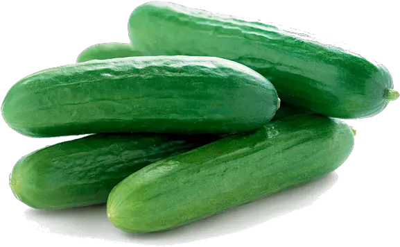  Cucumbers Png Picture Cucumbers Clipart Cucumber Transparent