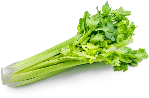  Download Free Png Celery Picture Celery Vegetables Celery Png