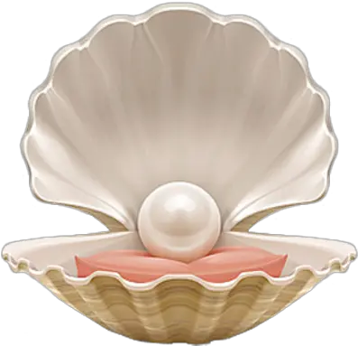  Pearl Shell Png Image Imagenes De Concha De Mar Pearl Transparent Background