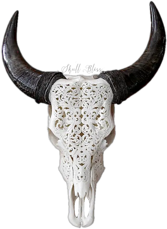  Transparent Bull Skull Png Horned Bull Png Bull Horns Png