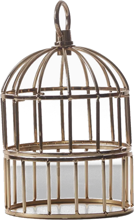  Cage Png Hd Wallpaper