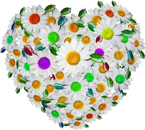  Cute Floral Heart Png Image Circle Floral Pattern Png