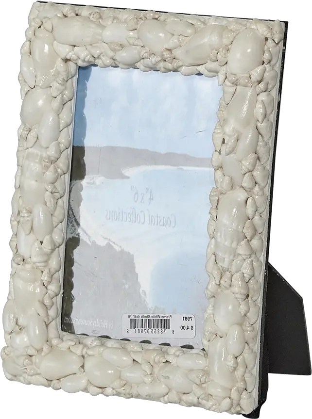  Download White Shells Photo Frame 4x6 Picture Frame Png Glass Pane Png