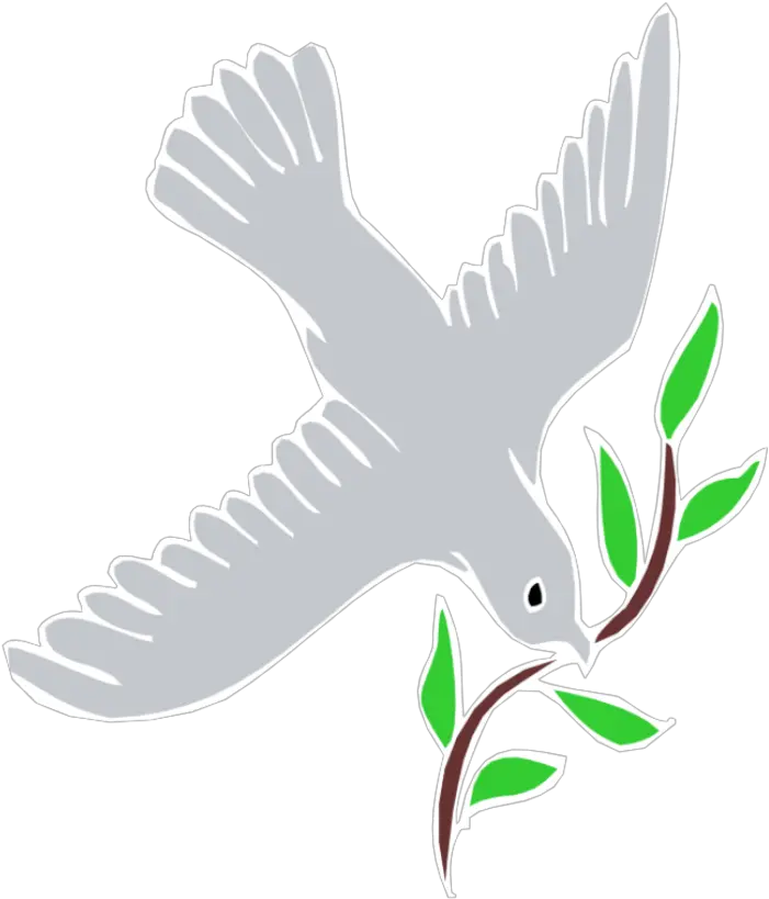  Holy Spirit Png We Believe That The Holy Spirit Is A Falconiformes Spirit Png