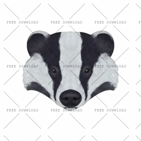  Badger Png Image With Transparent Background Photo 132 Cow Transparent Background