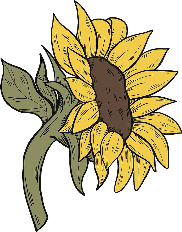  Sunflower Clipart Sunflower Clipart Png Sunflower Clipart Png