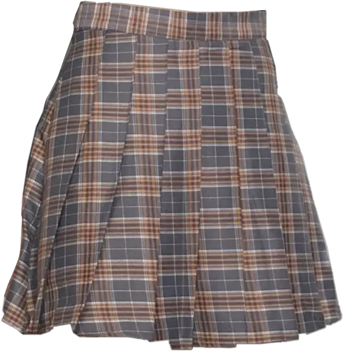  Skirt Vintage Retro Plaid Clothes Png Plaid Skirt Png Polyvore Skirt Png