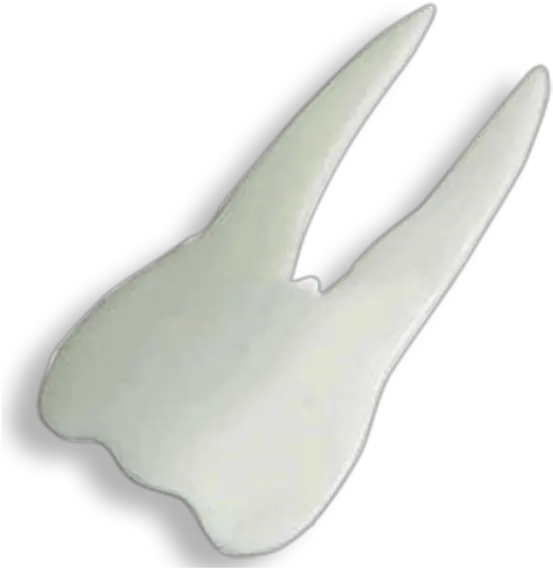  Tooth Shaped Fork And Spoon Cookie Cutter Png Plastic Spoon Png