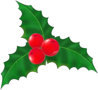  Mistletoe Transparent Png Mistletoe Transparent Mistletoe Transparent