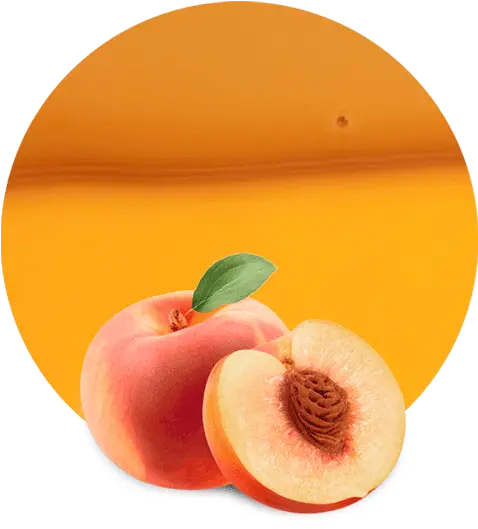  Peach Concentrate Manufacturer U0026 Supplier Lemonconcentrate Peach Png Peaches Png