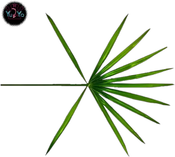  Download Hd Vertical Png Exo Logo