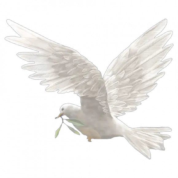  Dove Bird Png Image With Transparent Phil 4 7 Kjv Dove Transparent