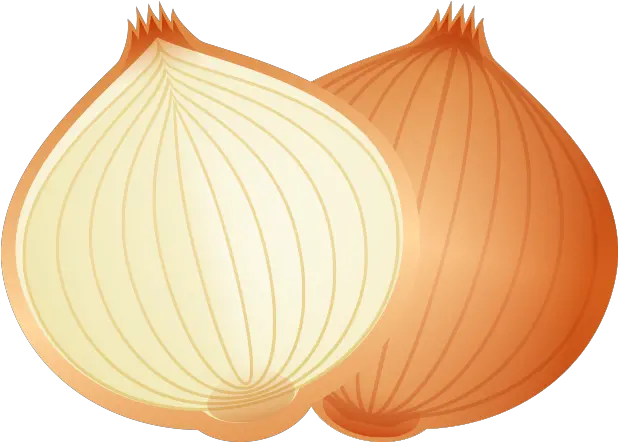  Onion Cartoon Cartoon Food Onion Png Download 800800 Cartoon Onion Clip Art Onion Transparent Background