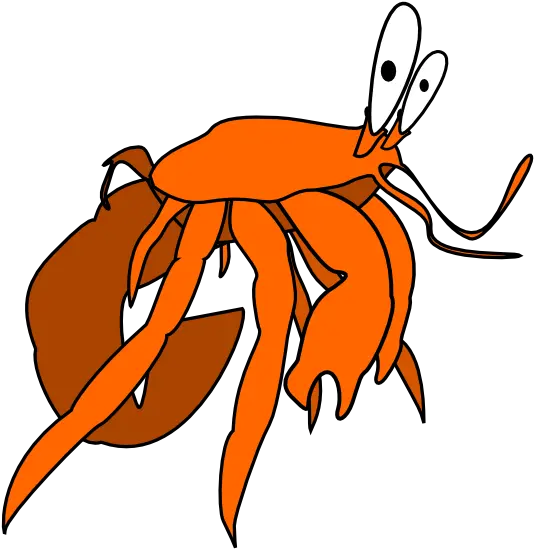  Download Shrimp Png Images Clipart Hermit Crab Vector Hd Shrimp Png