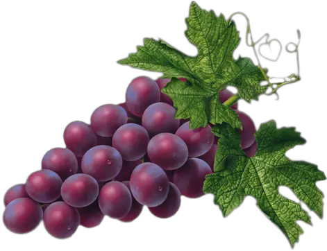  Red Grape Png Picture Red Grapes Clipart Grape Png