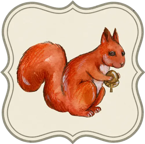  Graphic Design Watercolor Png Squirrel Squirrel Squirrel Transparent Background