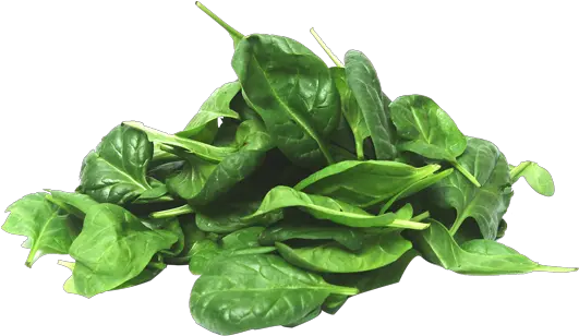  Baby Spinach 100g Spinach Png Spinach Png