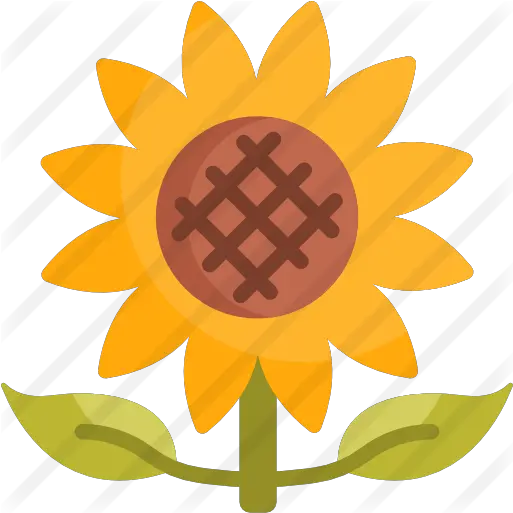  Sunflower Free Nature Icons Ilustrasi Bunga Png Sunflower Transparent Background