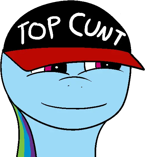  Baseball Cap Hat Rainbow Dash Safe Cunt Png Top Gun Png