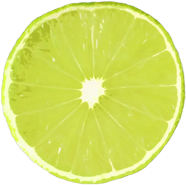  Lime Slice Of Lemon Png Lime Png