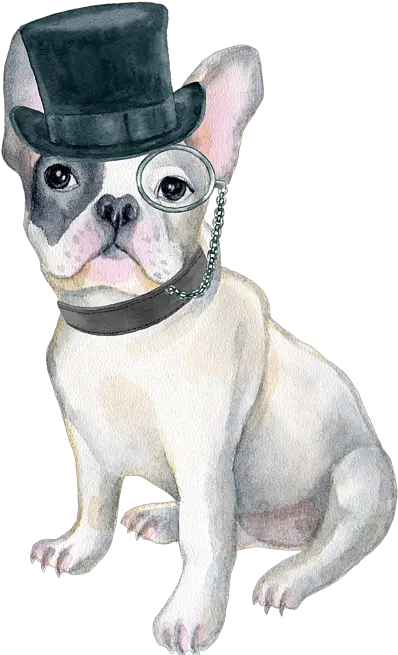  Frenchie French Bulldog Top Hat Monocle Dogs In Clothes Greeting Card French Bulldog Puppy In Bow Ties Png Monocle Transparent Background