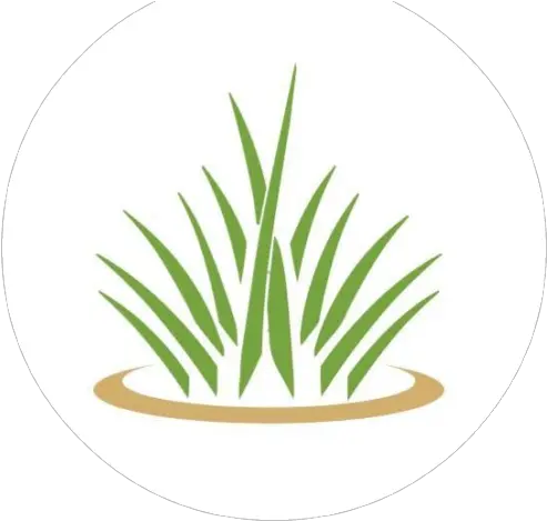  Cropped Hlogopngpng Halo Lawn Care Circle Lawn Png