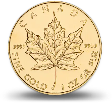  Download Hd Canadian Gold Maple Canadian Gold Maple Leaf Png Canadian Leaf Png