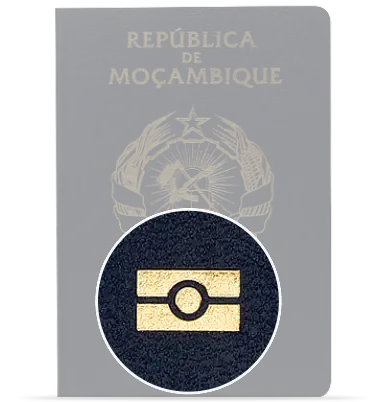  Biometric Passports Semlex Group Png Passport Icon