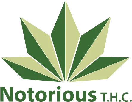  Logo Design For Notorious T Illustration Png Cannabis Logo