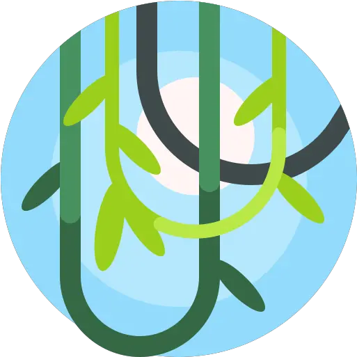  Vines Free Nature Icons Png Vines Icon