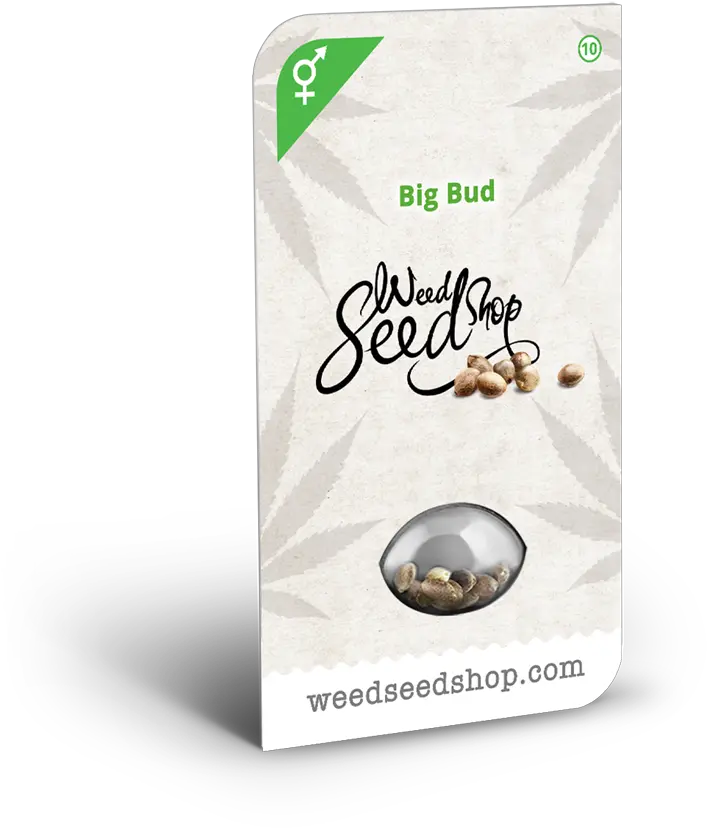  Big Bud Seeds Weed Seed Shop Uk Weed Png Weed Nugget Png