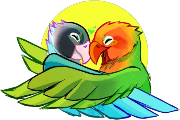  Bird Beak Parrot Clipart Parakeet Png Parrot Transparent