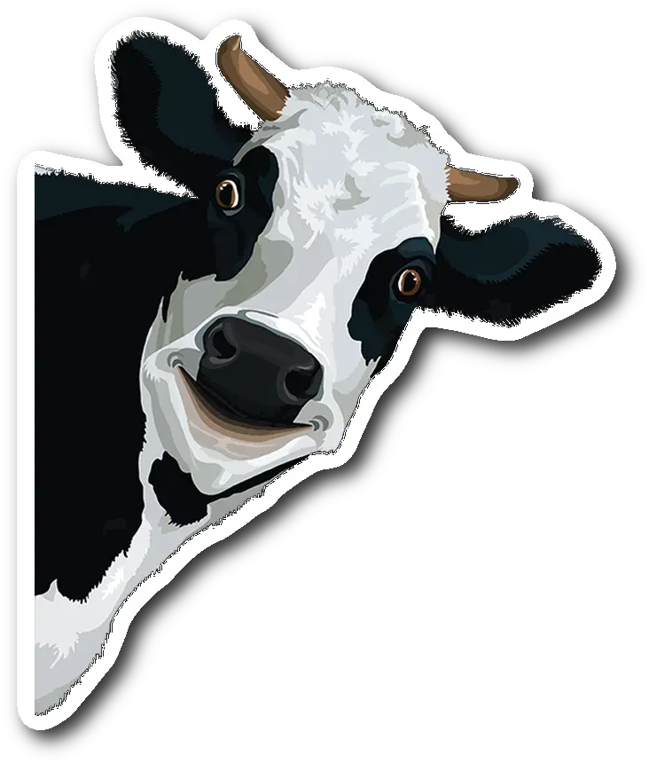  Funn Cow Face Sticker Black And White Smiling Cow Png Cow Face Png