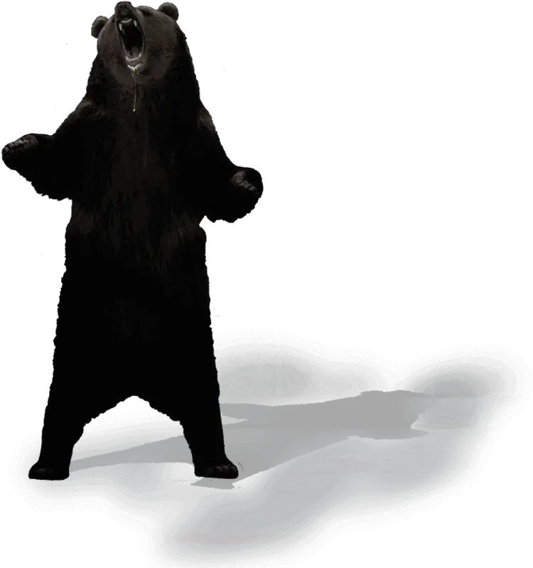  Transparent Standing Bear Silhouette Punxsutawney Phil Png Bear Silhouette Png