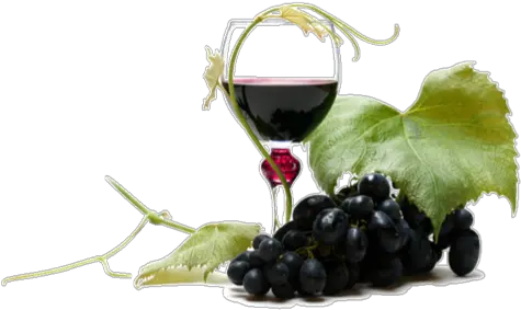  Download Wine Png Clipart Wine Png Wine Png