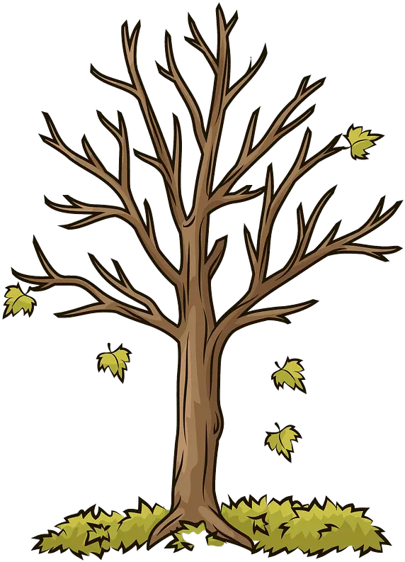  Autumn Tree Clipart Free Download Transparent Png Creazilla Dibujos De Arboles De Otoño Autumn Transparent