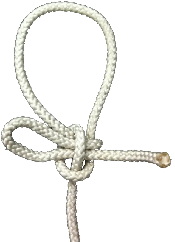  Download Hd Kalmyk Bowline Knot Png Rope Knot Png