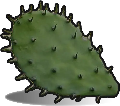  Cactus Flesh Rust Cactus Png Thorns Icon