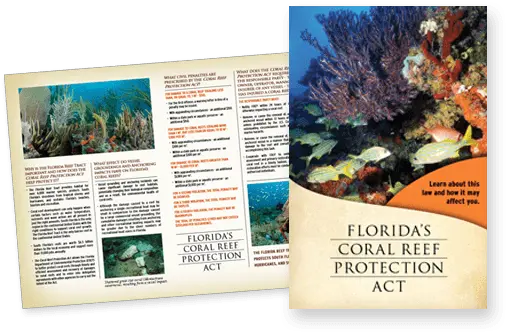  Reef Injury Prevention And Response South East Florida Reefs Marine Biology Png Coral Reef Png