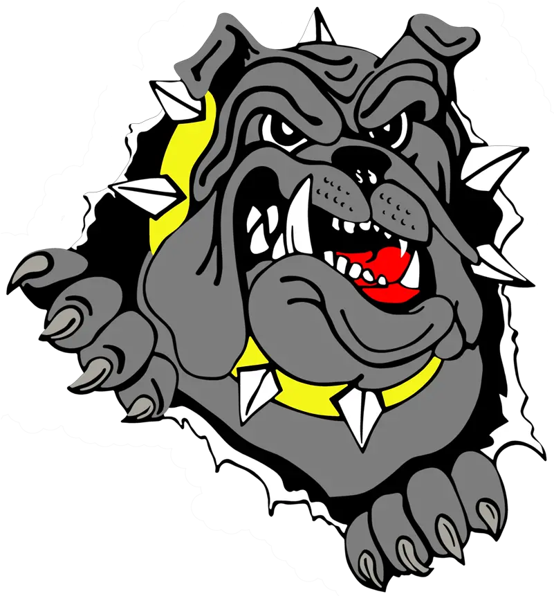  Bulldog Png Transparent Bulldog Logo Png Bulldog Transparent Background