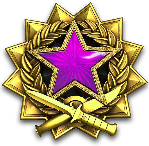  Counter Strike Global Offensive Update For 12716 12816 Csgo 2017 Service Medal Png Counter Strike Global Offensive Logo