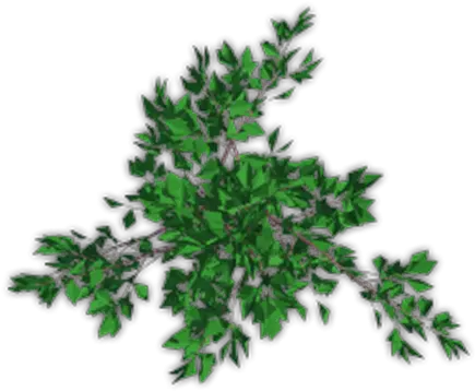  Green Shrubs Transparent Png Images Grass Shrubs Png